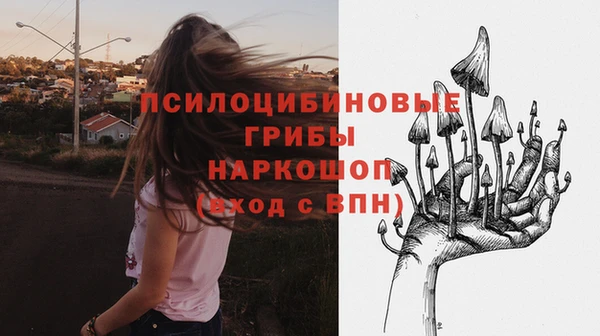 прущий лед Абаза
